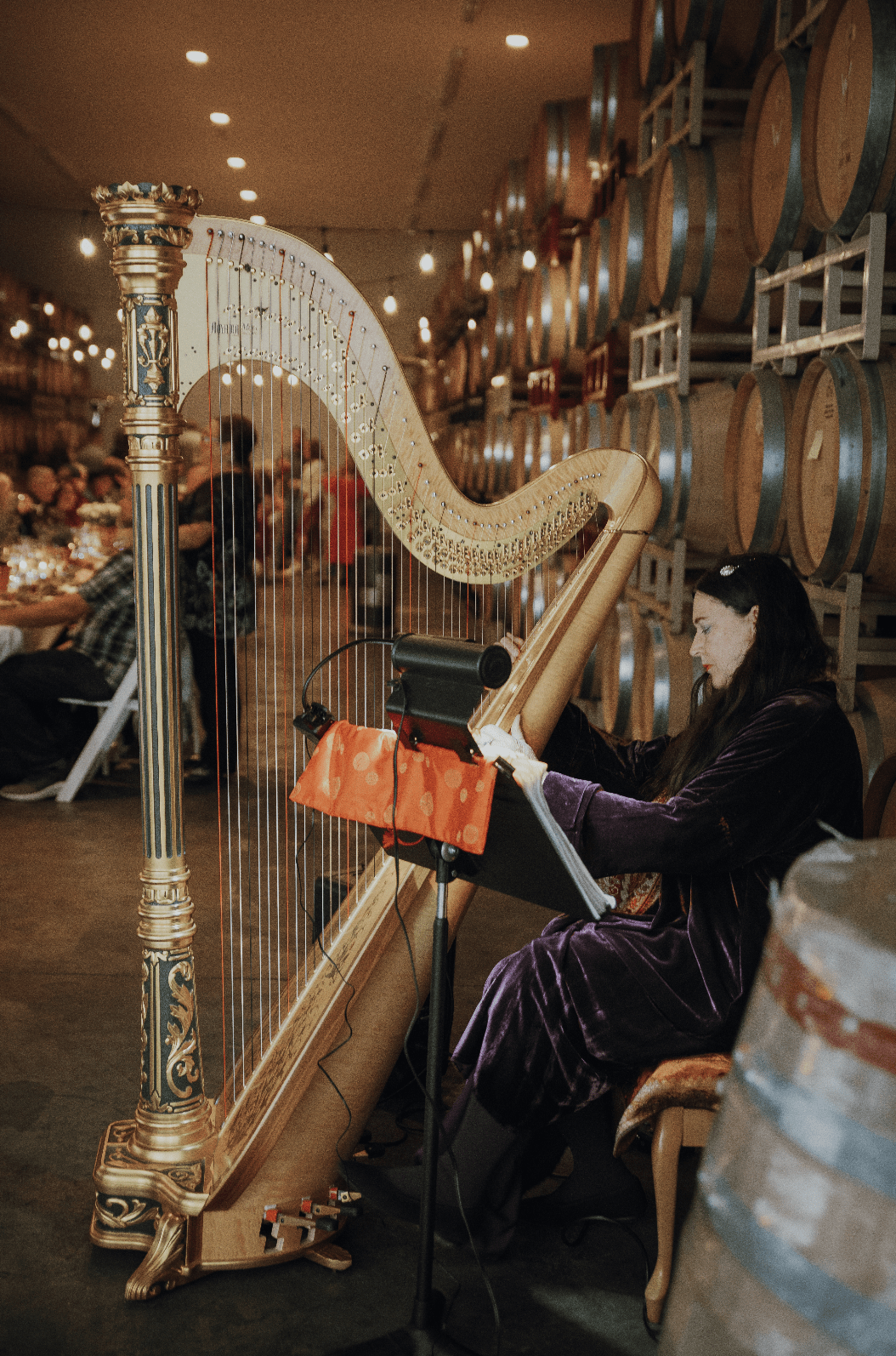 Medford, Oregon harpist, Mary Vannice, playing a selection of harp music for the RoxyAnn Winery harvest dinner.