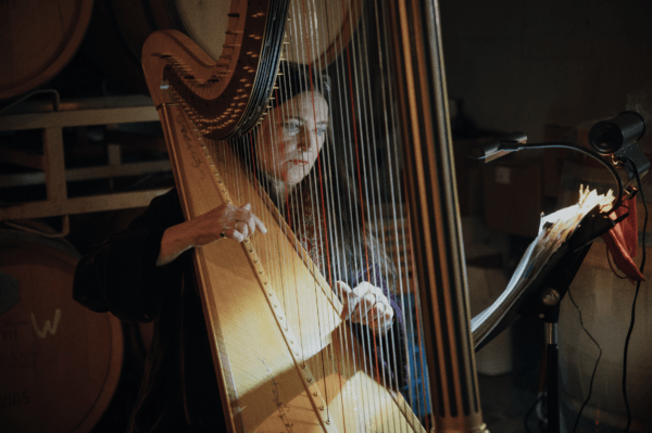 Medford, Oregon harpist, Mary Vannice, playing a selection of harp music for the RoxyAnn Winery harvest dinner.